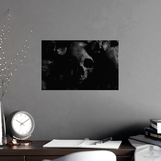 Dark Skull Poster 17x 11 Matte