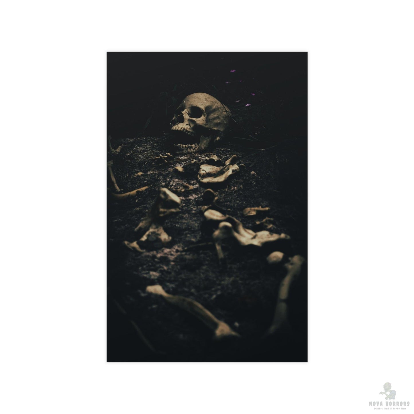 Skeleton Grave Poster 17x 11 Matte