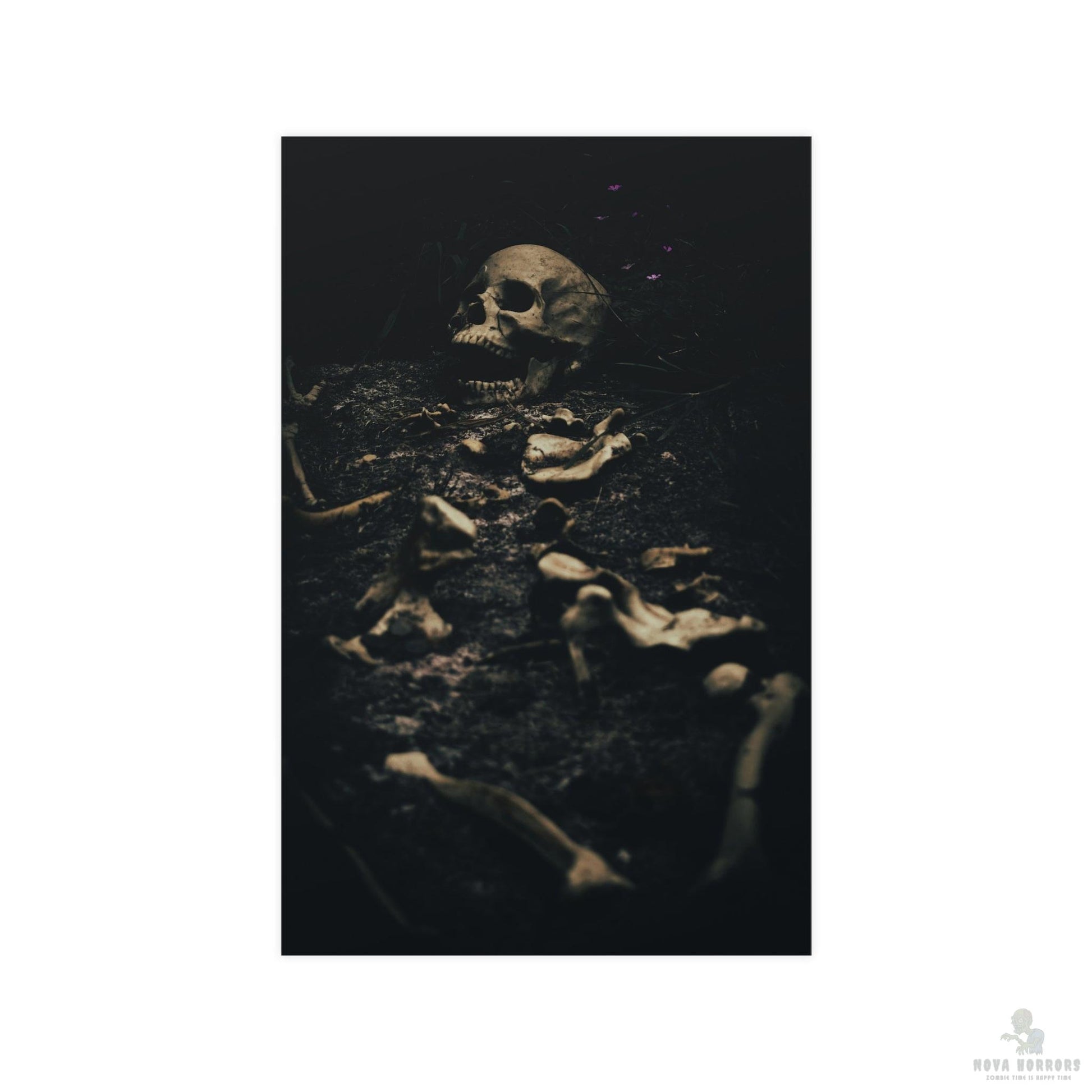 Skeleton Grave Poster 17x 11 Matte