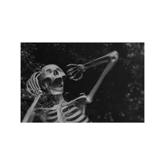 Basking in the Sun Skeleton Poster 17x 11 Matte
