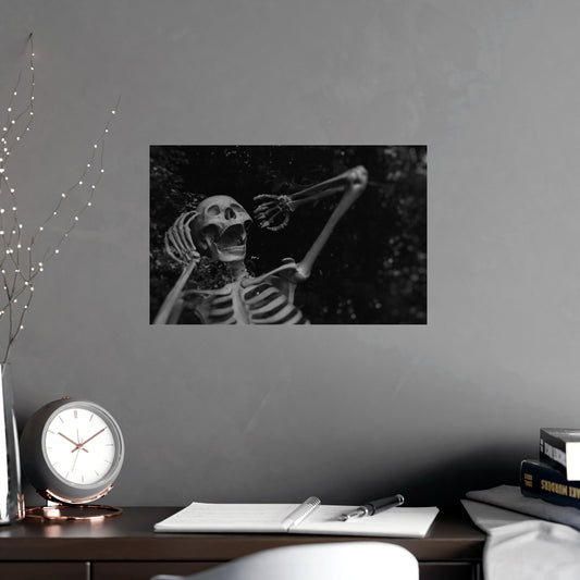 Basking in the Sun Skeleton Poster 17x 11 Matte